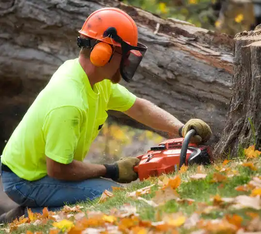 tree services Short Hills